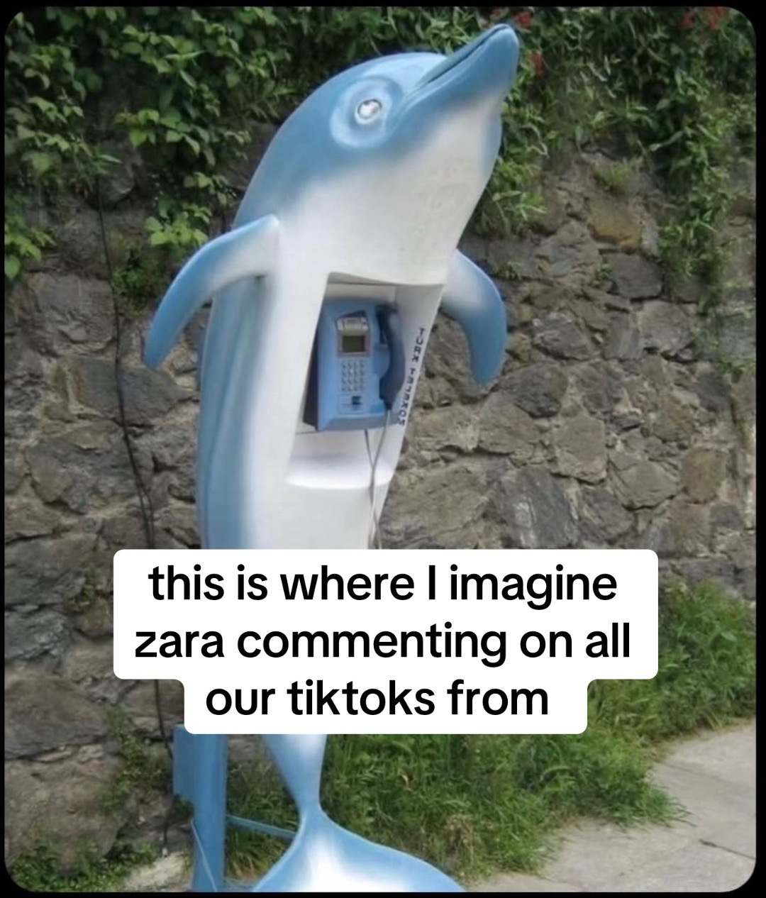 @bry crasch