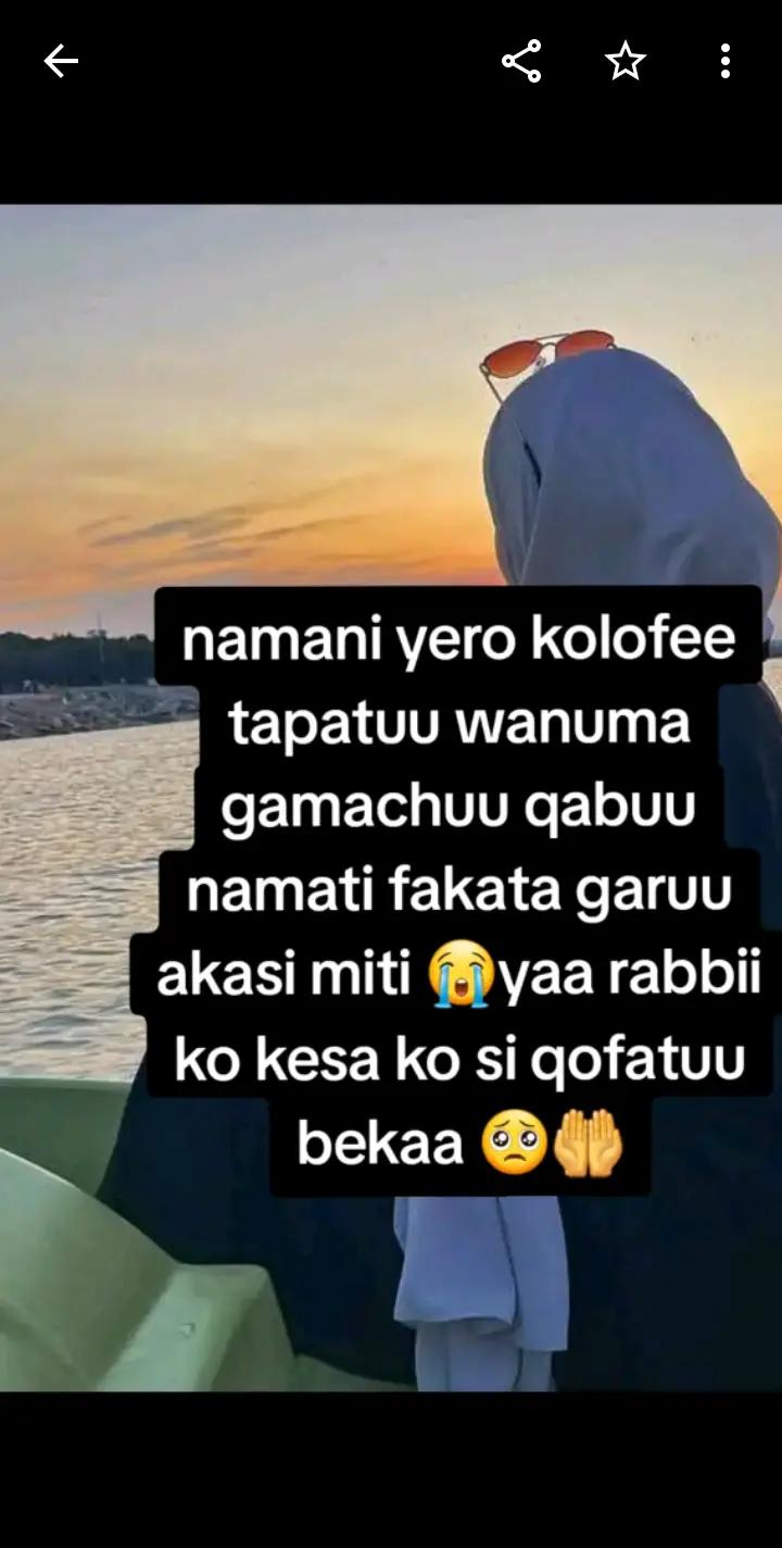 @daree manchoo