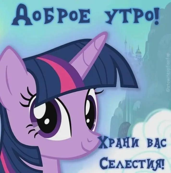 @Snowy Dreams