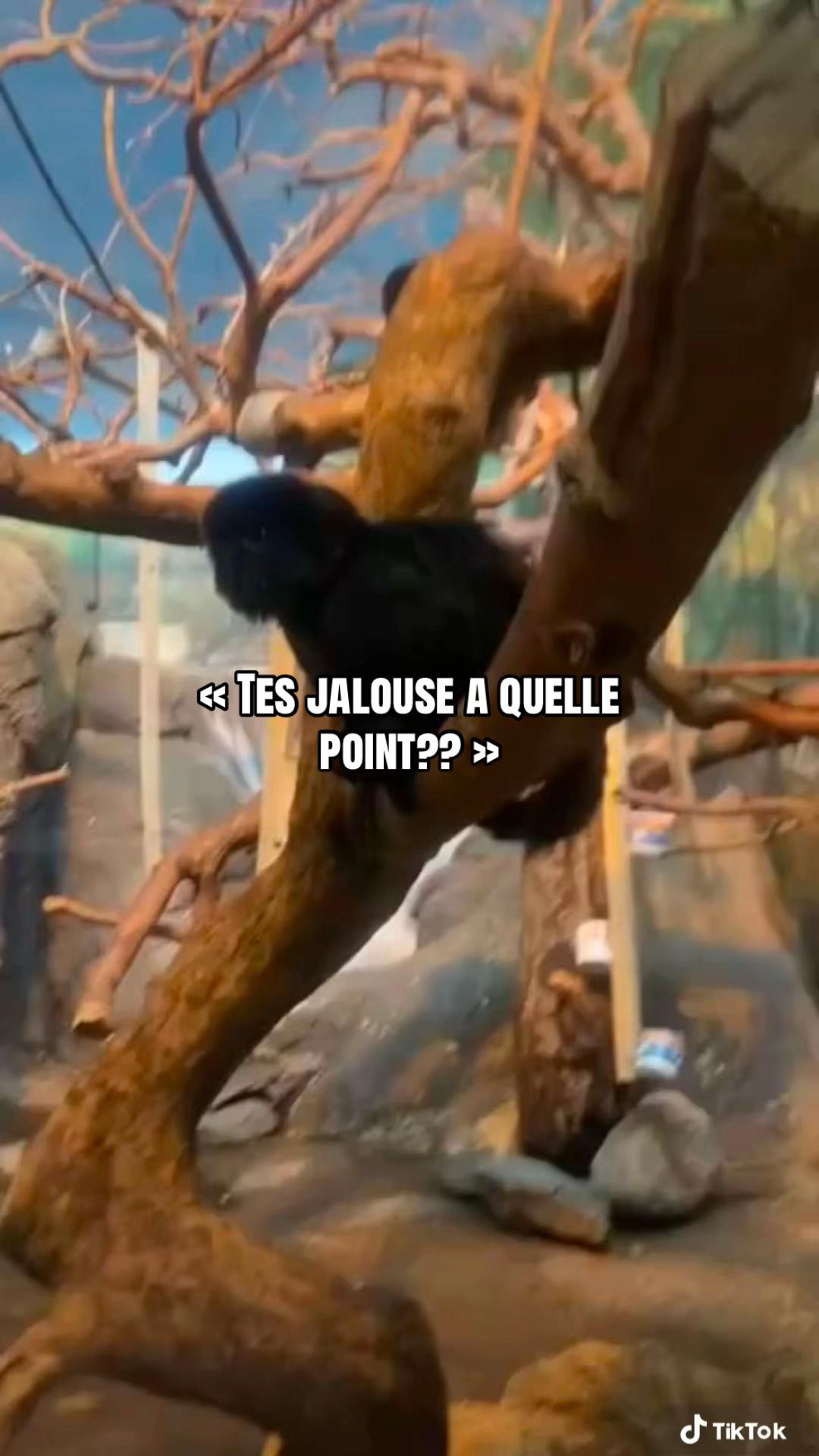 @𝑼𝒔𝒆𝒓.𝑬'🐥