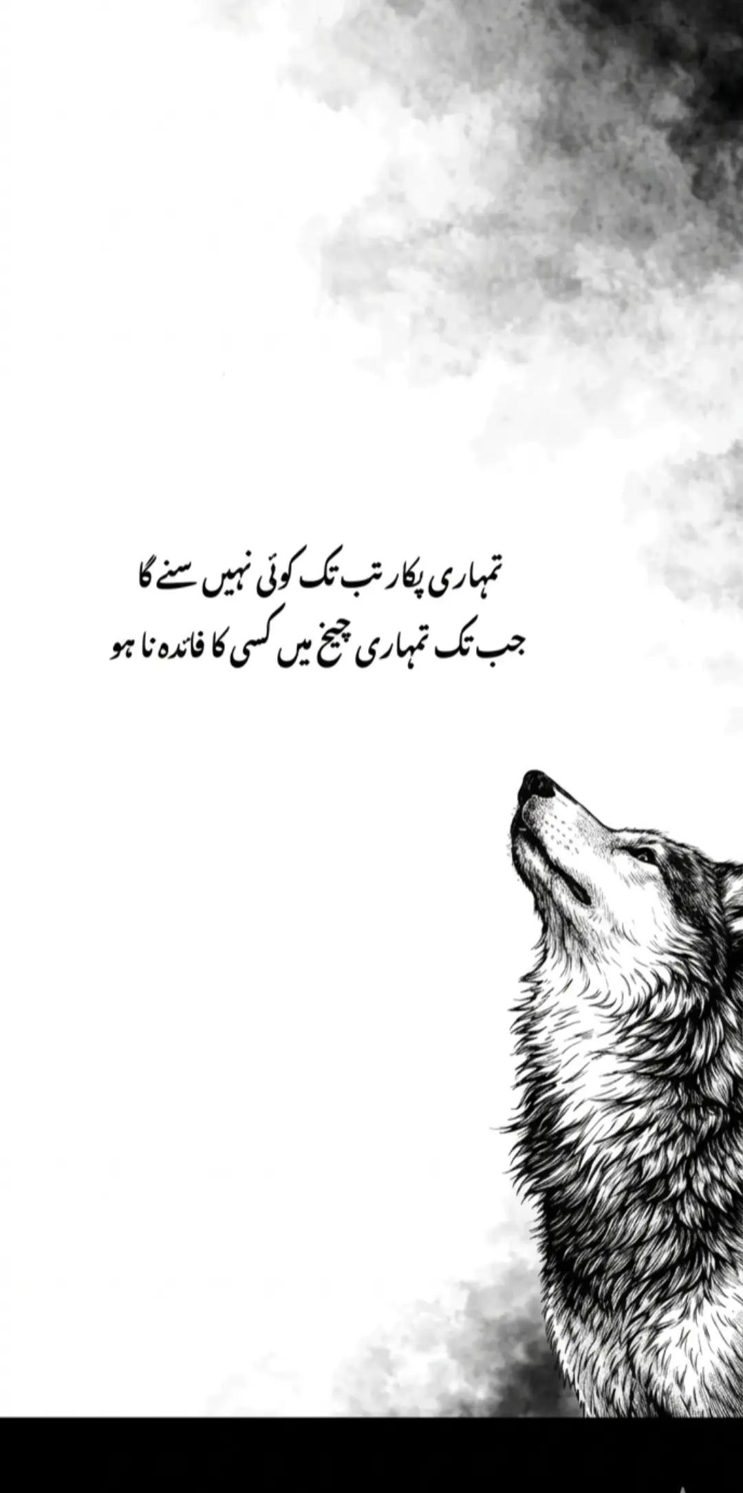 @Syed