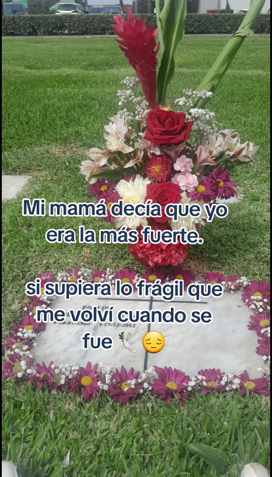 @Vanessa🌙