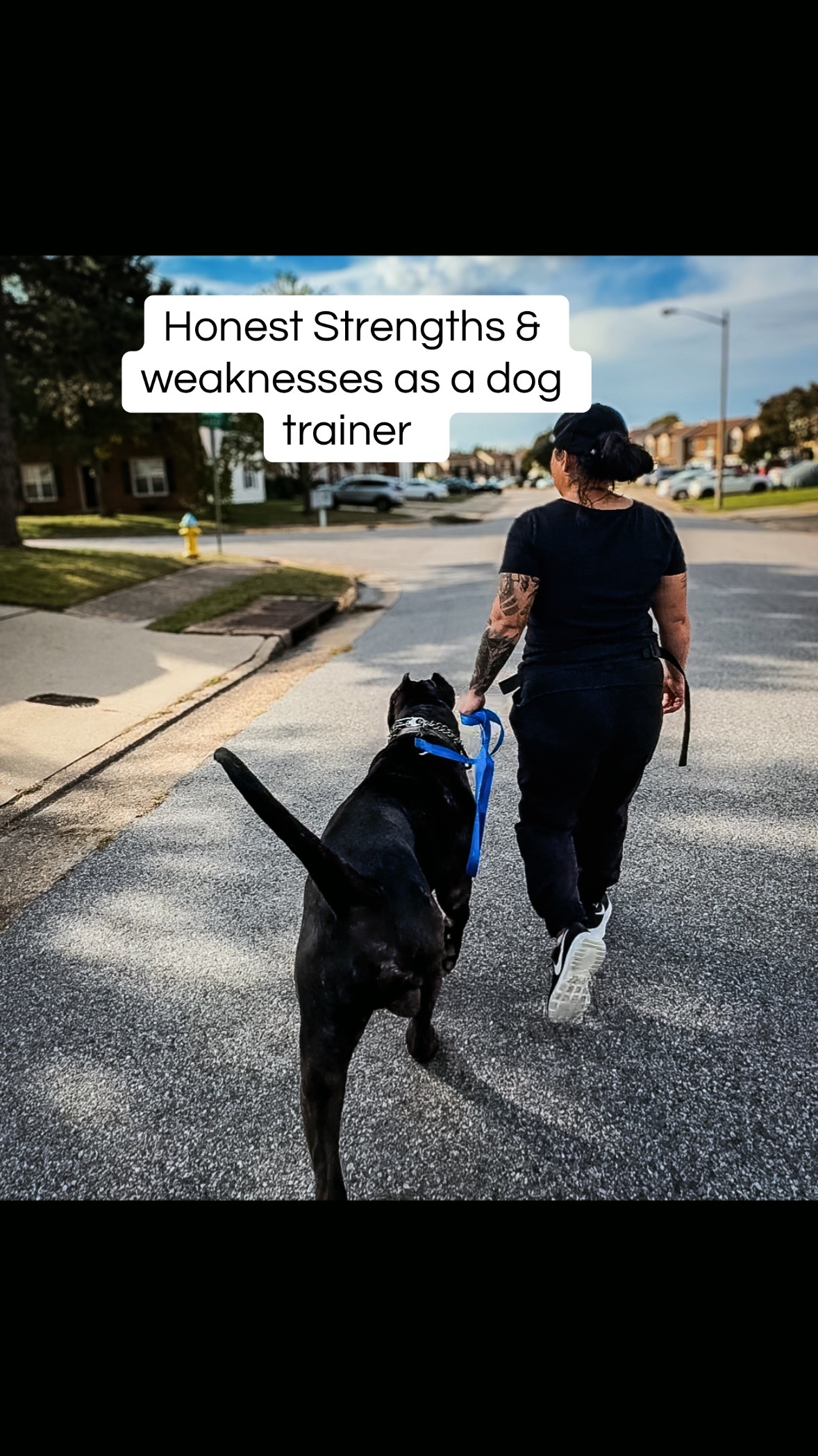 @Kiley - dog trainer