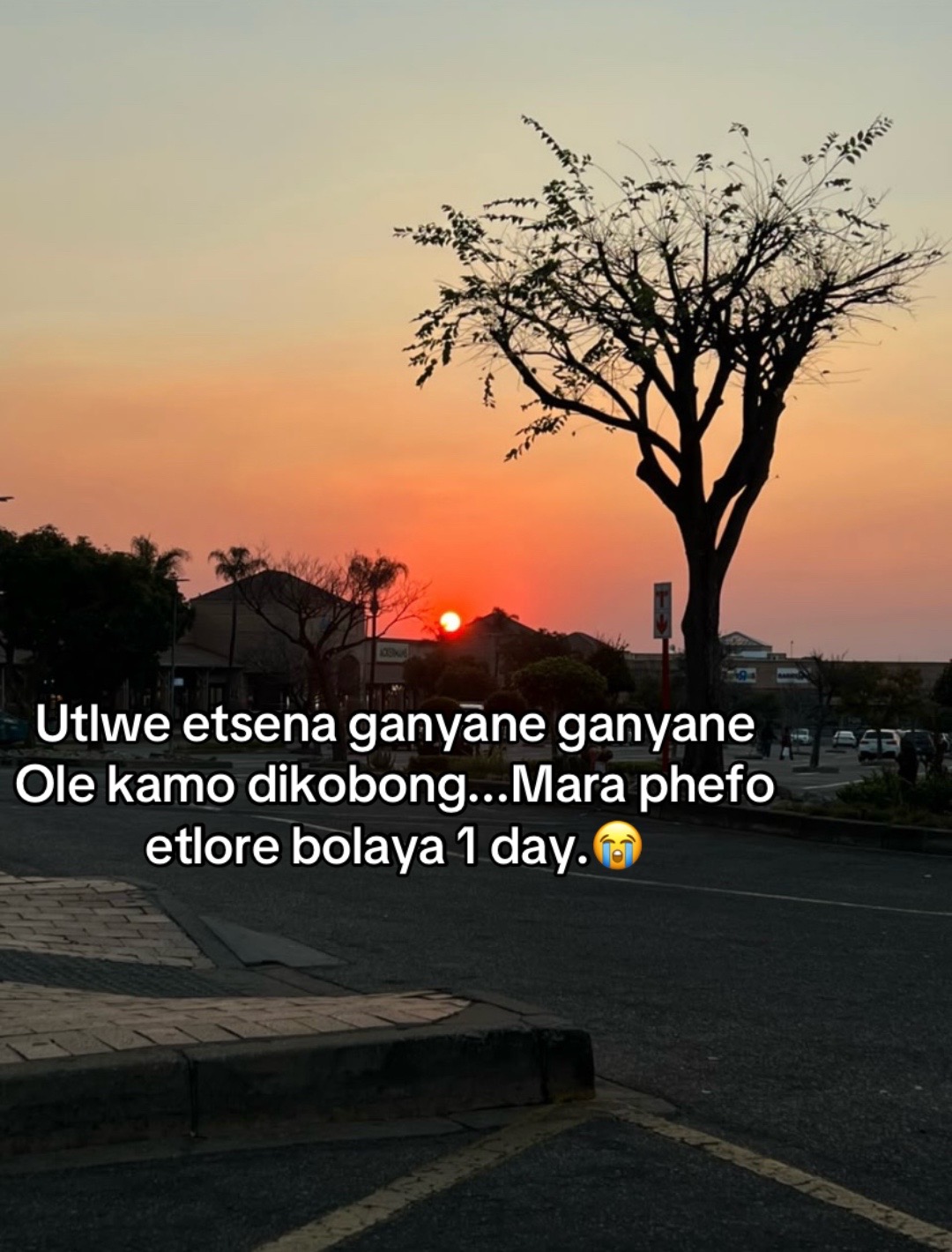 @Pitori Justice League