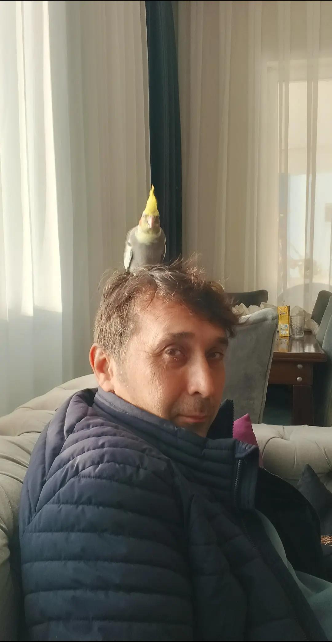 @ahmetdlgkrn