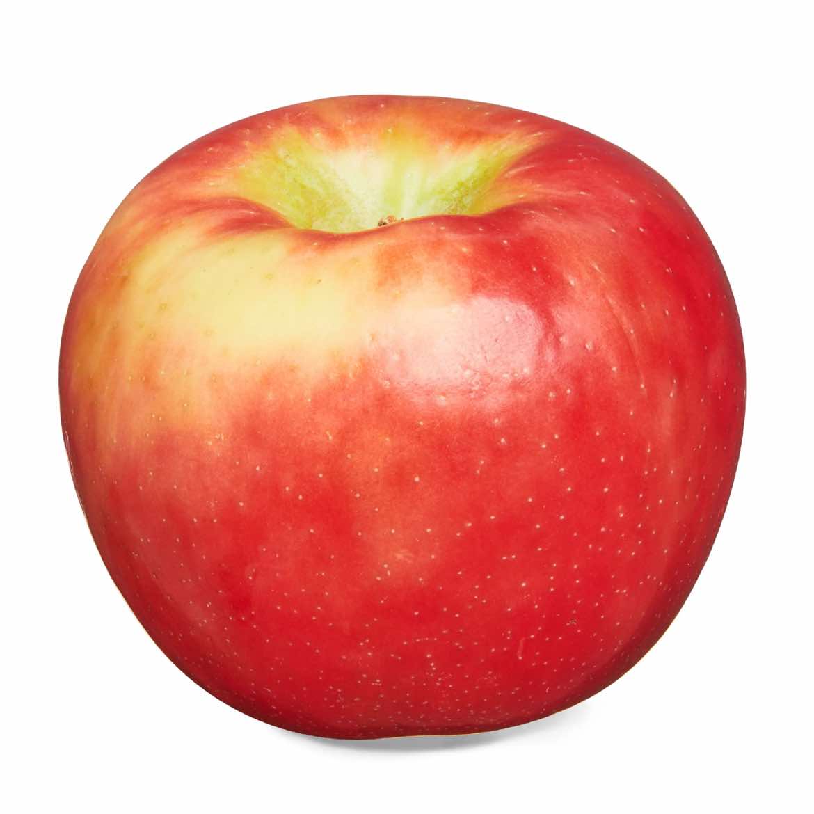 @apple for a brain