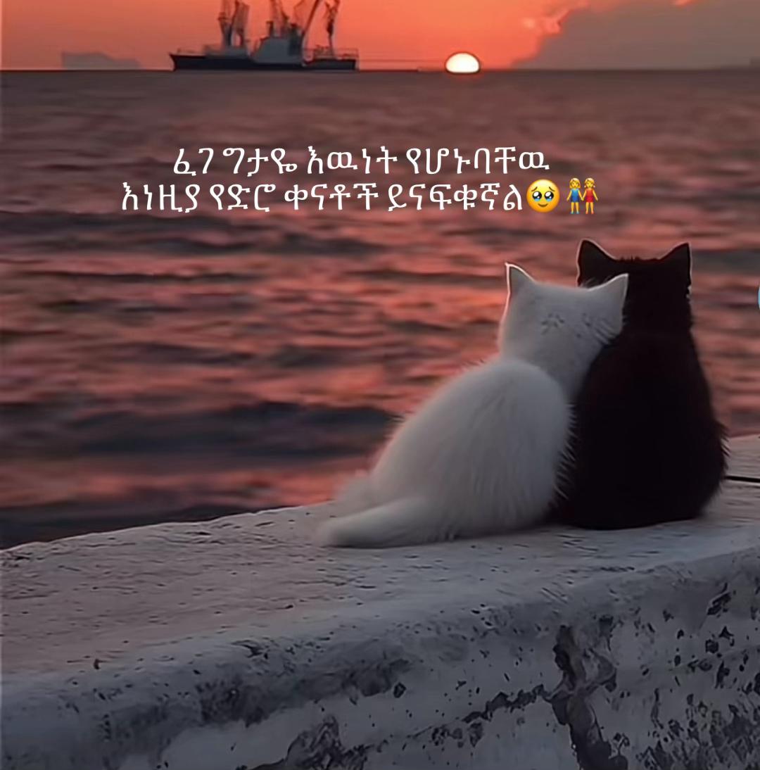 @MF