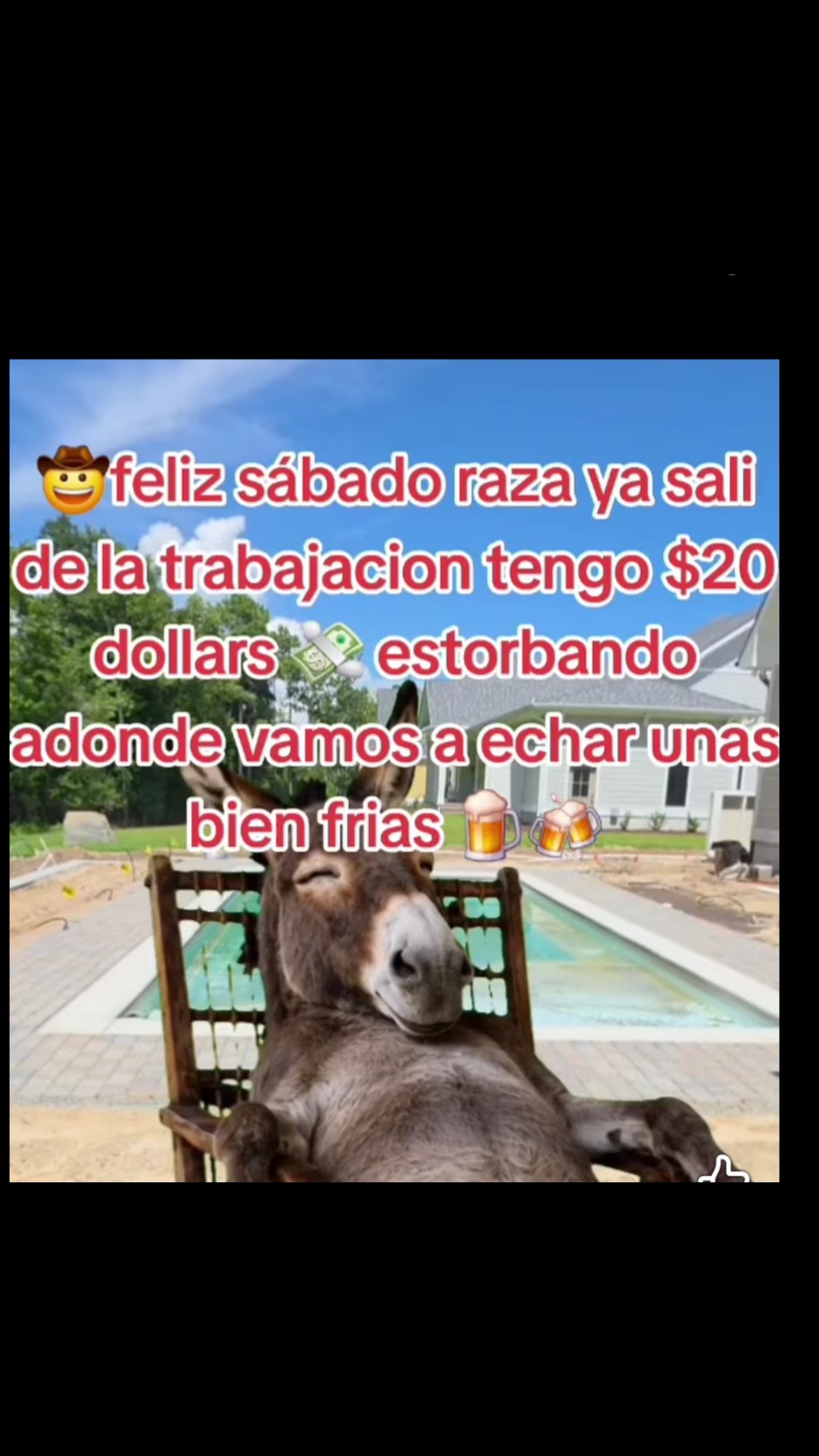 @Pedro Cruz