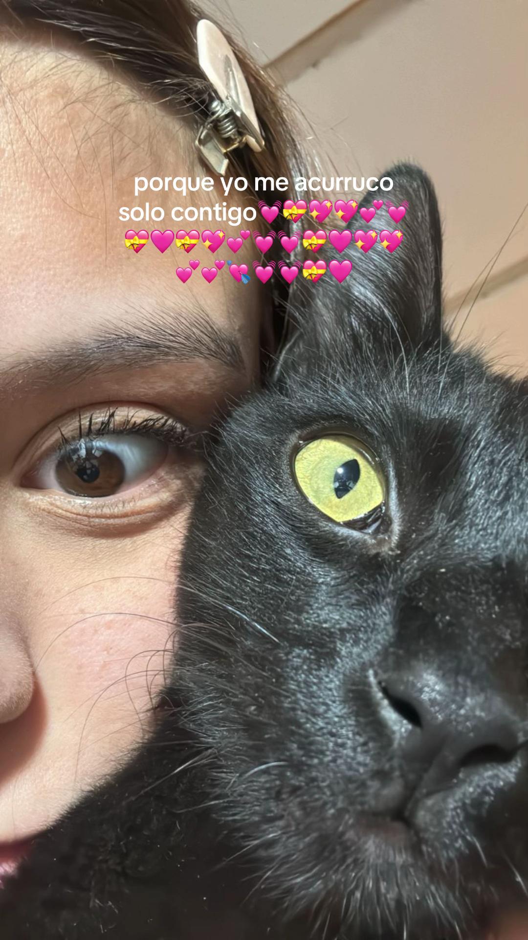 @papoi