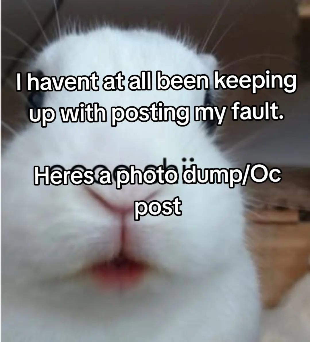 @🐇Angel the Trollcunter🗡