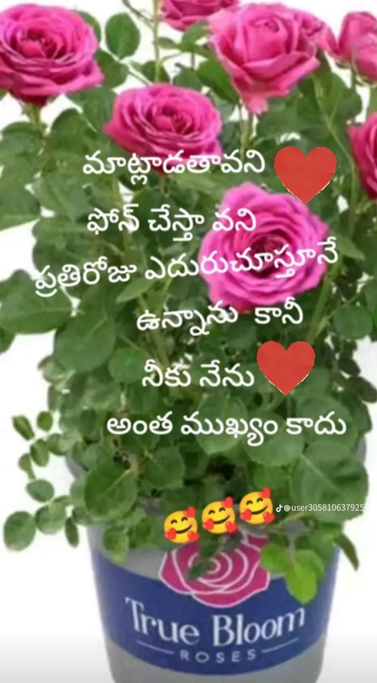 @Vasantha Kumar