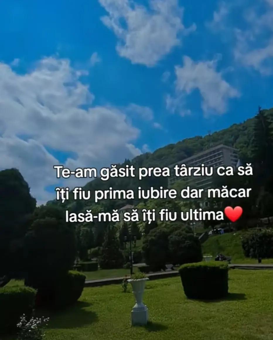 @sefan89