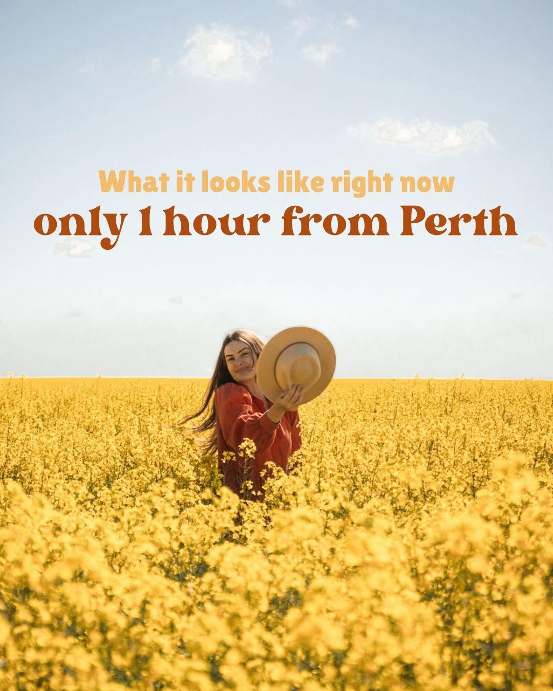 @Tess | Perth Blogger