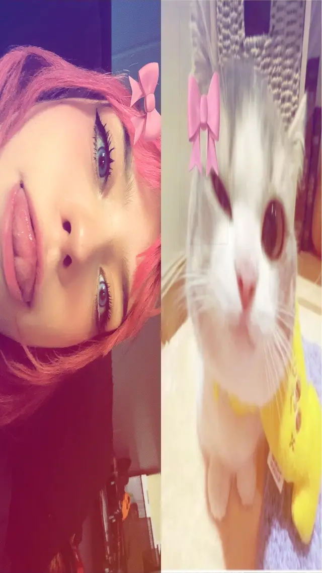 @kitty :3