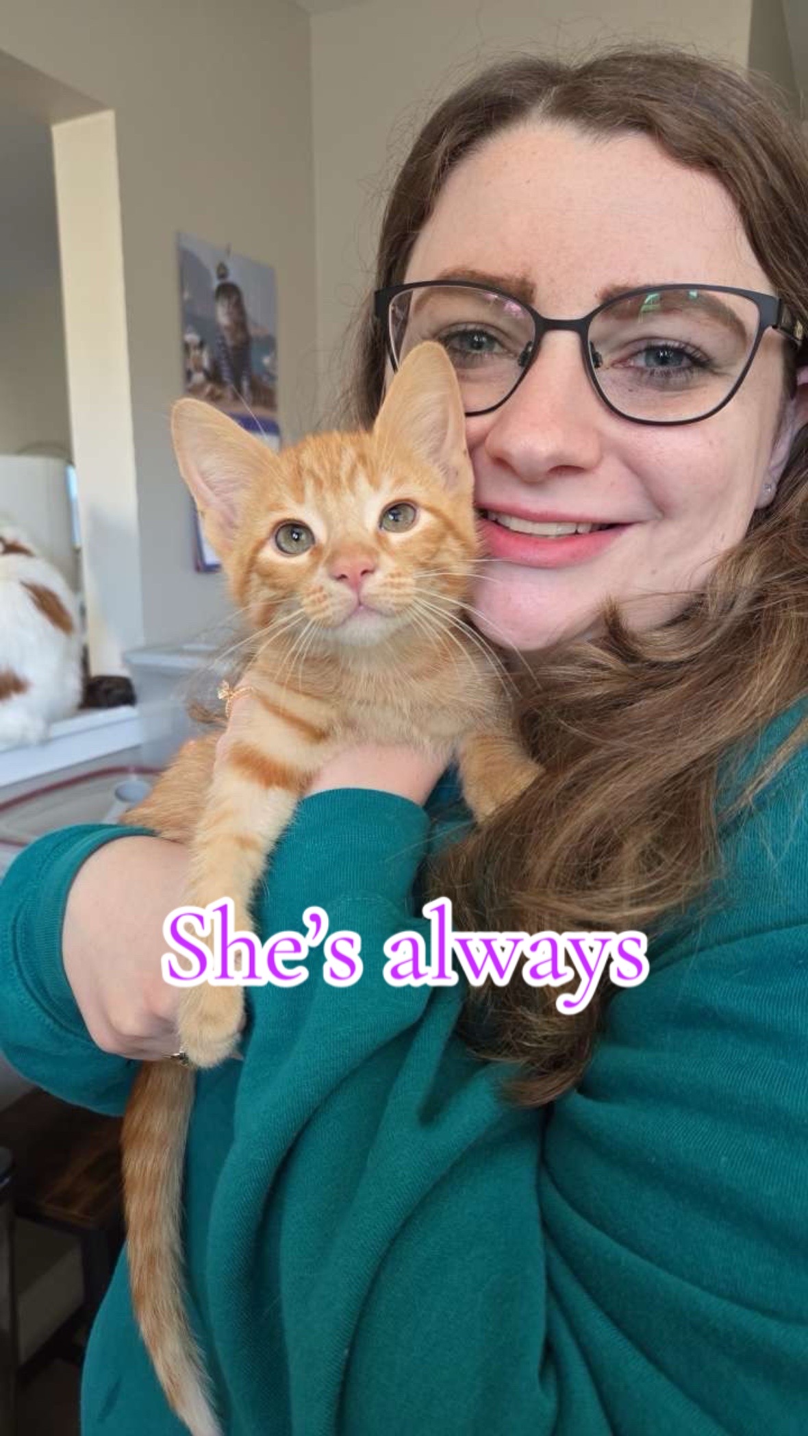 @Megan 🦎 🐈