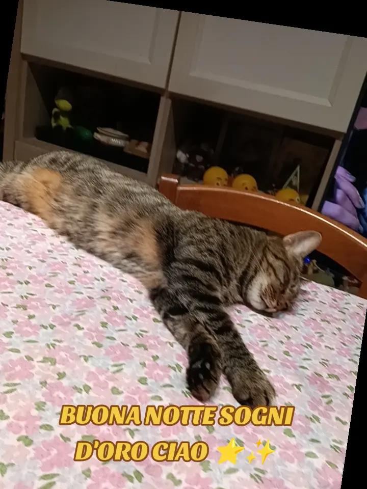 @Francesca Sciurti