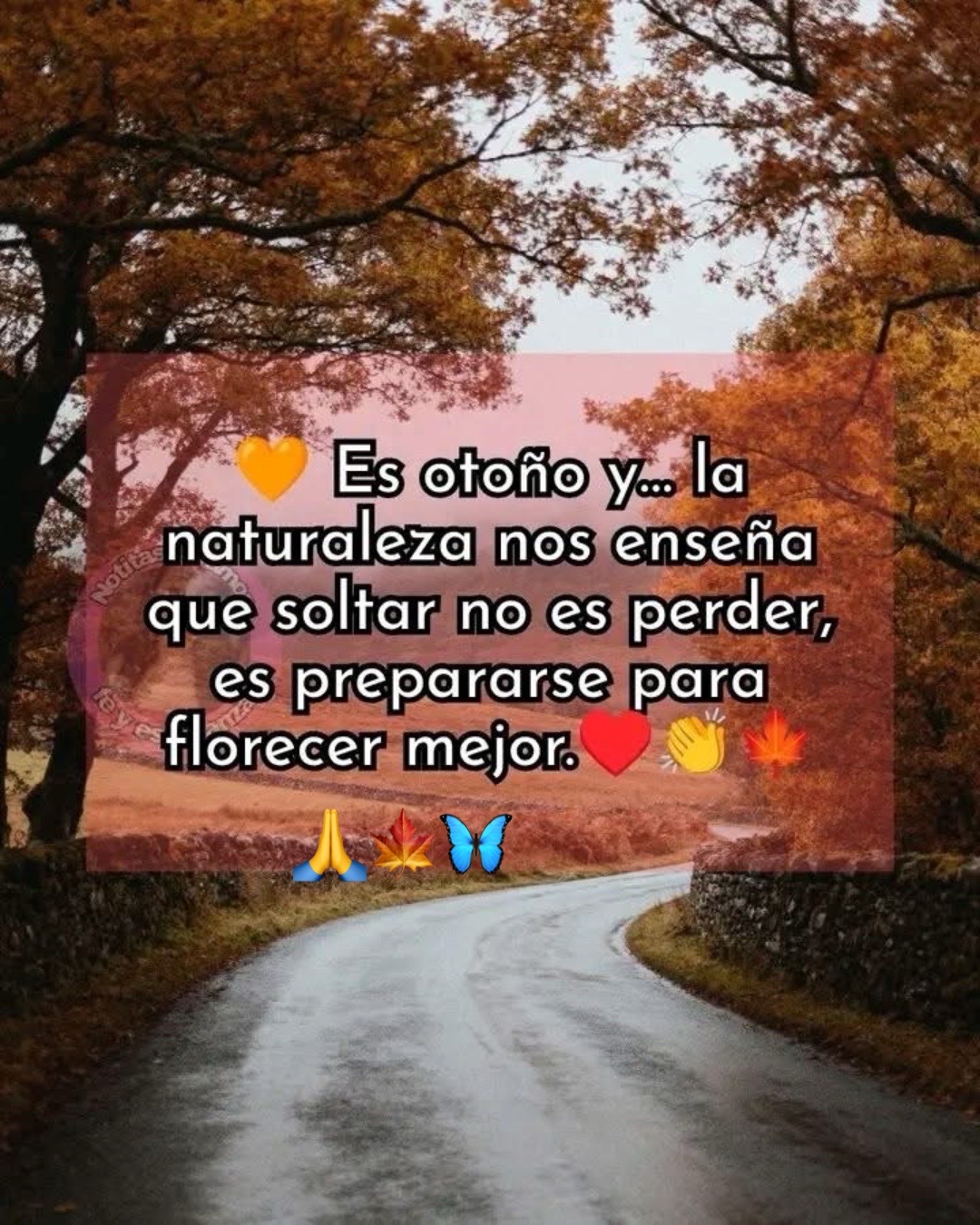 @rosasandoval1010Rosy Sandoval