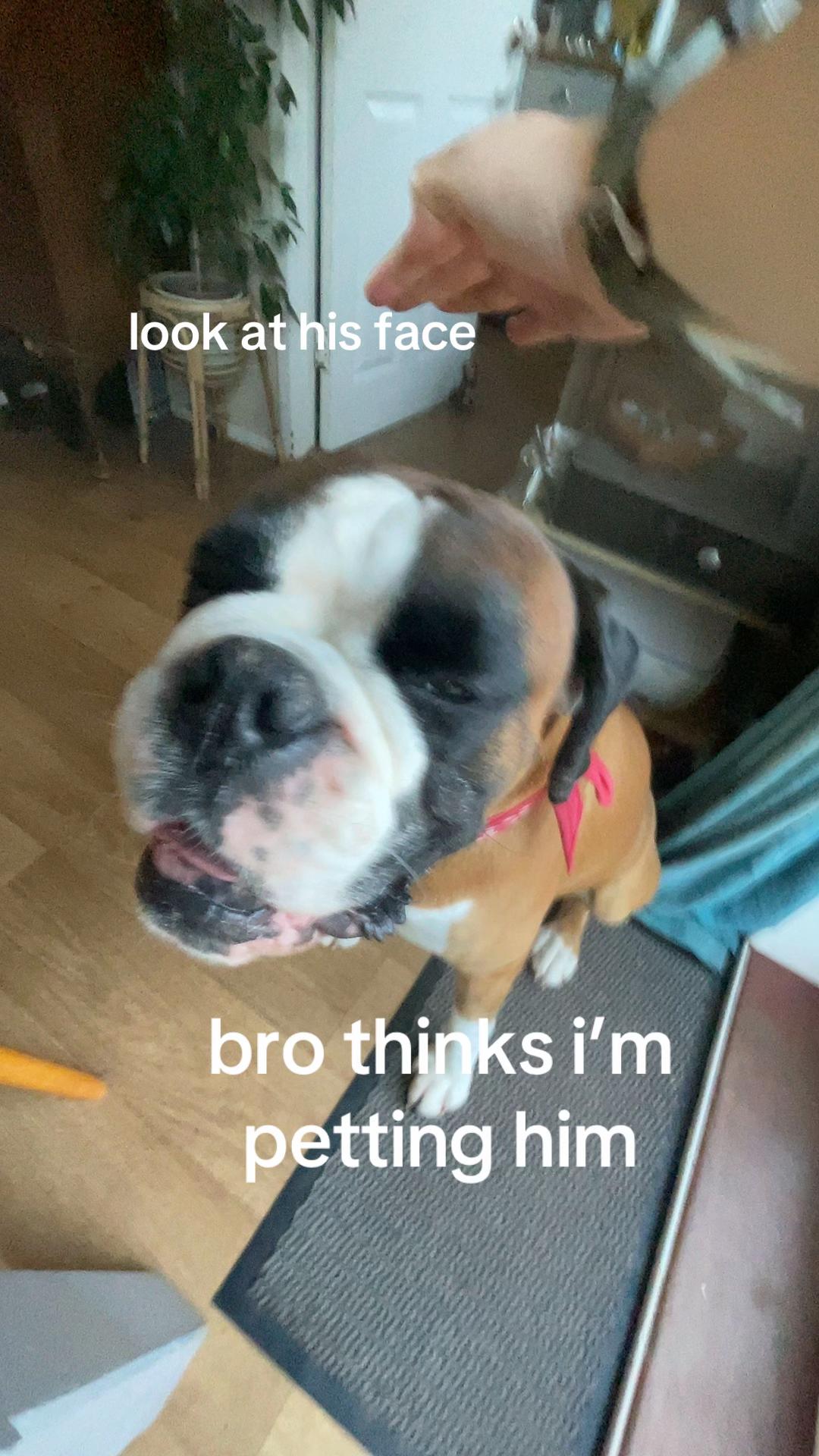 @OscarBowyer67