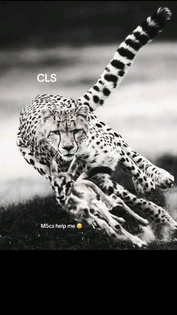 @user52583338835