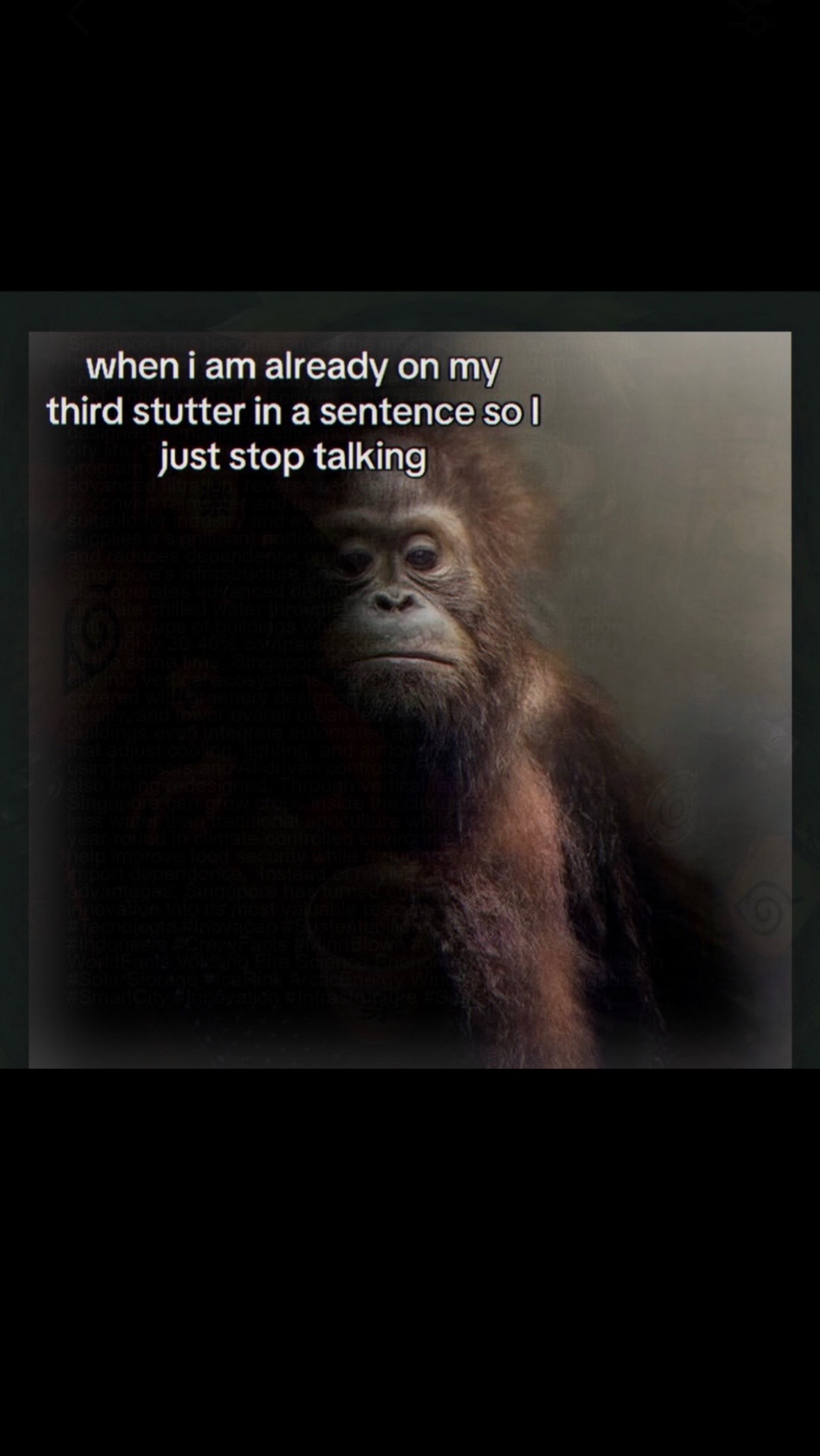 @minddumpdailyyy