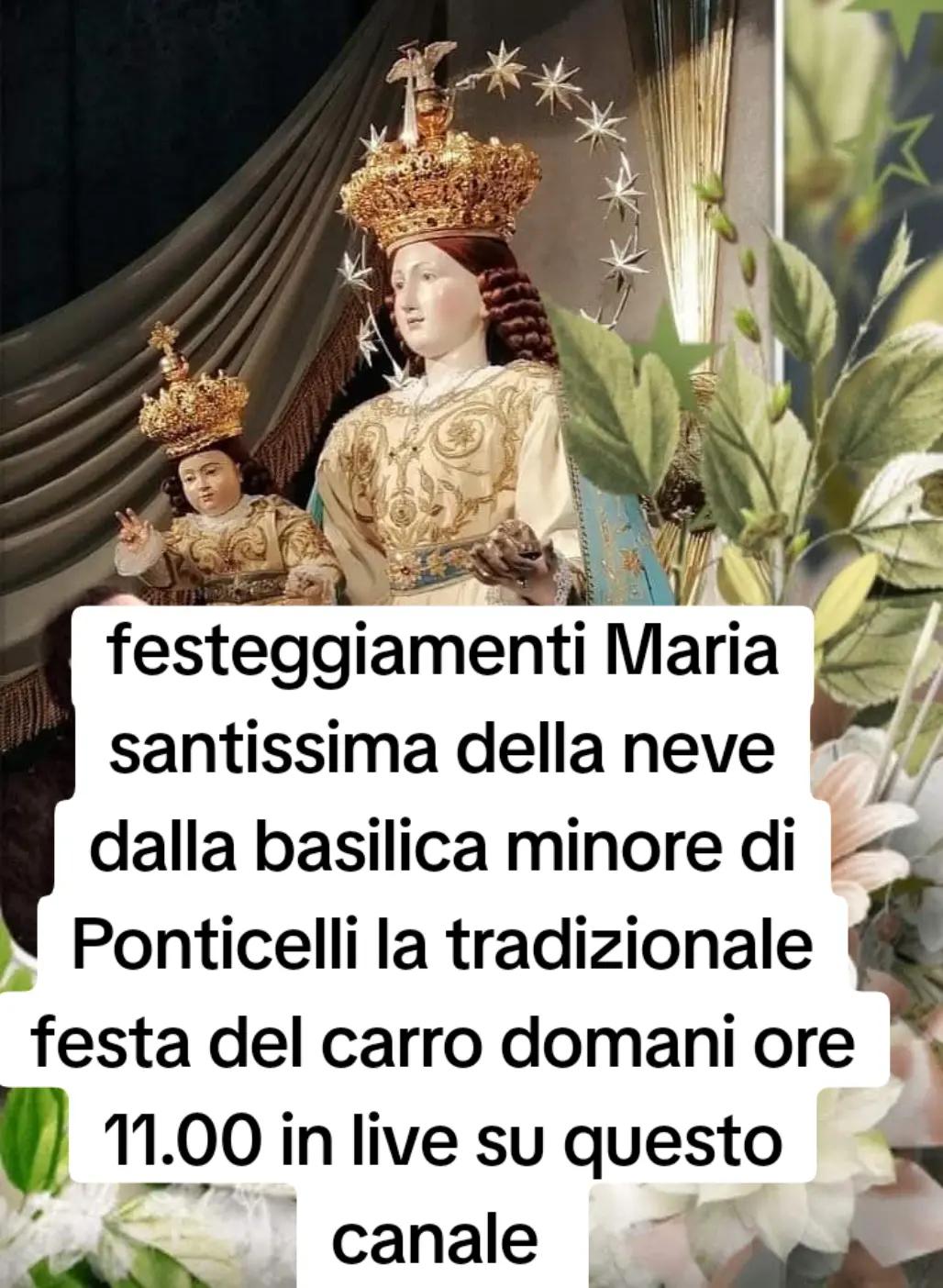 @protezione civile 🍀