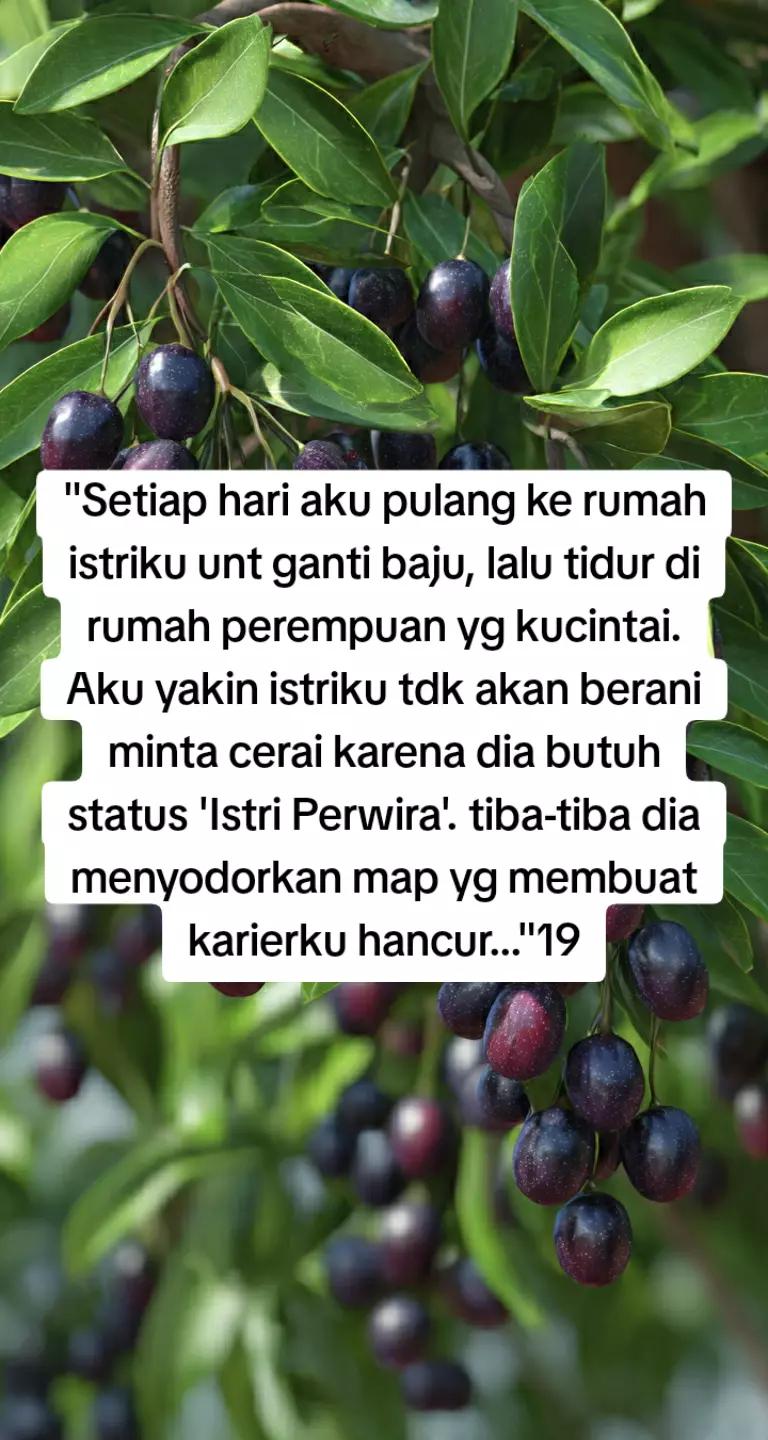 @Promosi Novel Online