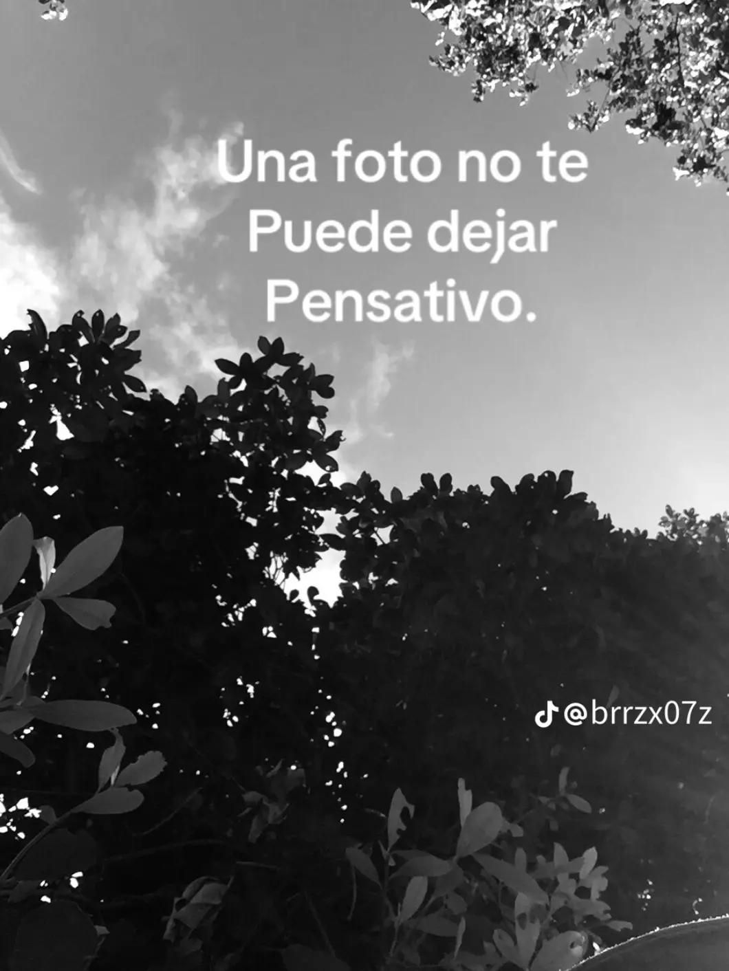@DAN ๐ง