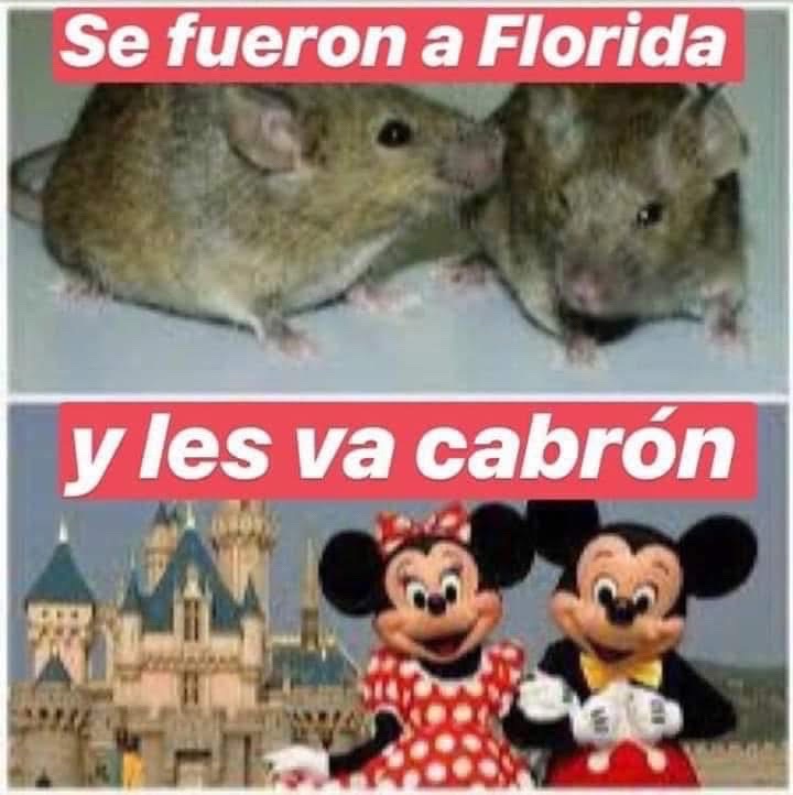 @Dropthemic_tiktok