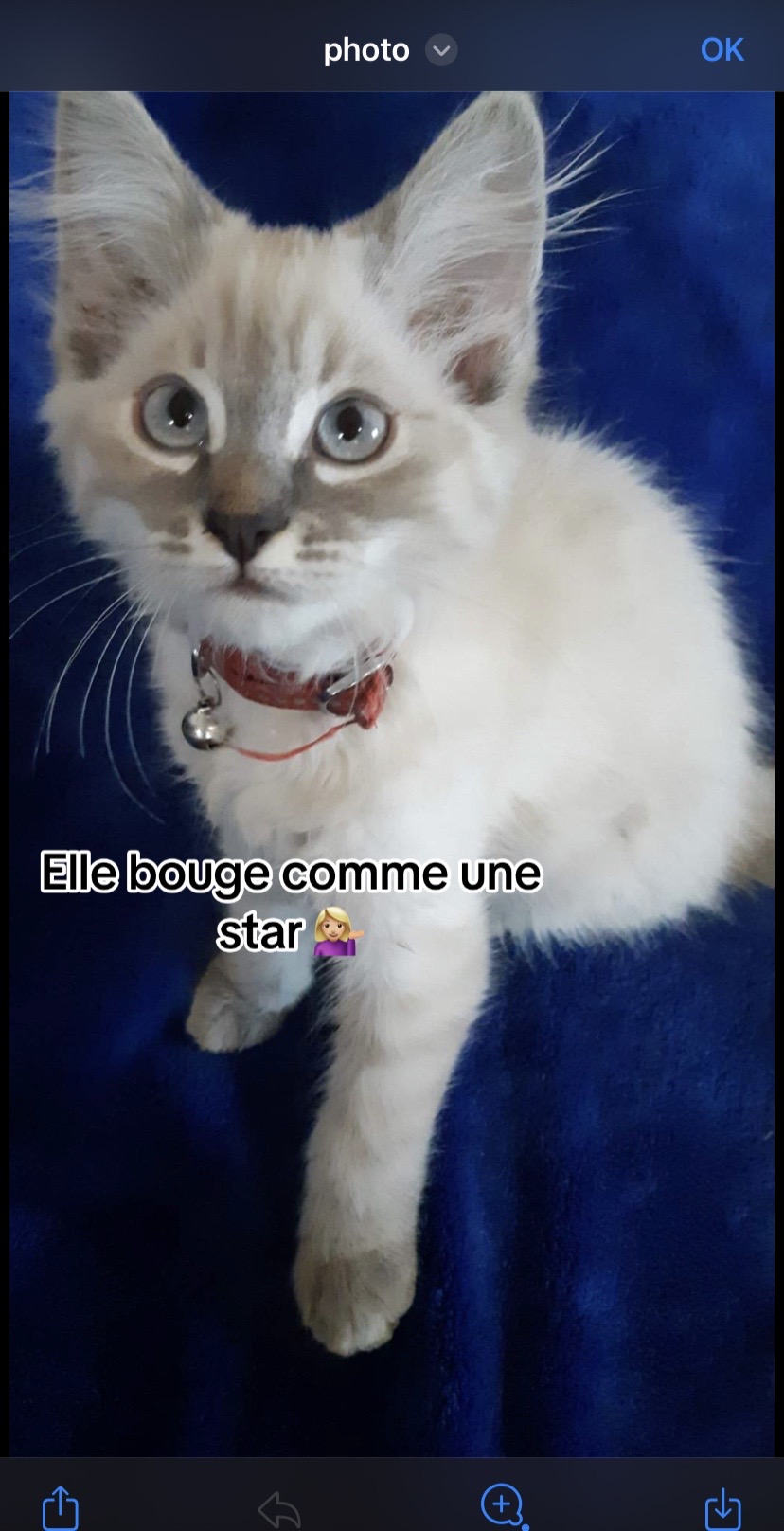 @Eveuux