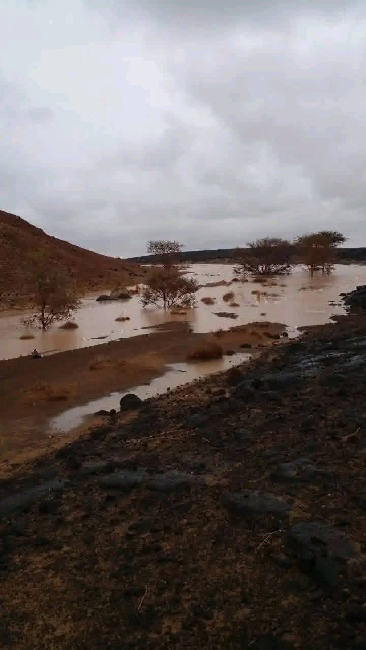 @الشر219يف