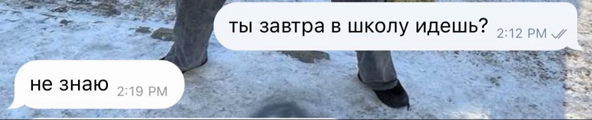 @caelith.ss