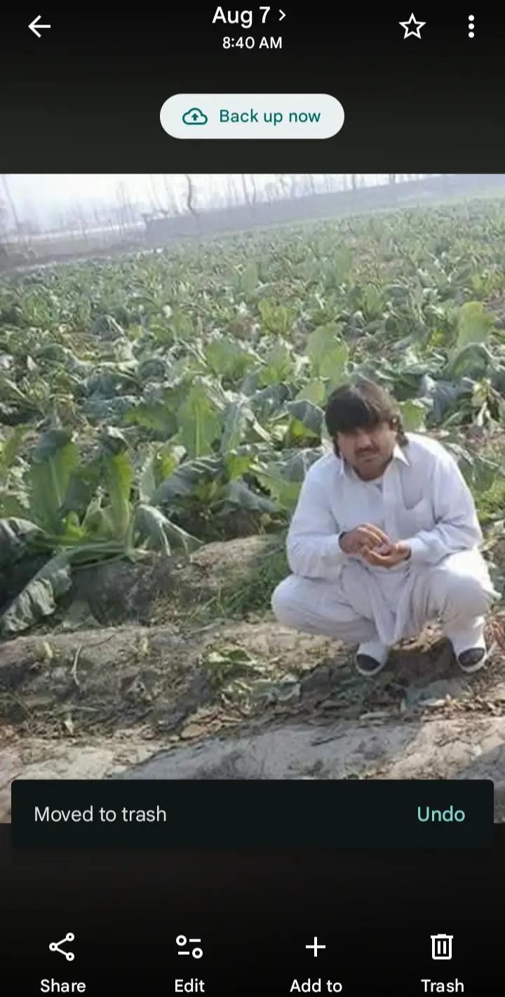 @Tariq Khan