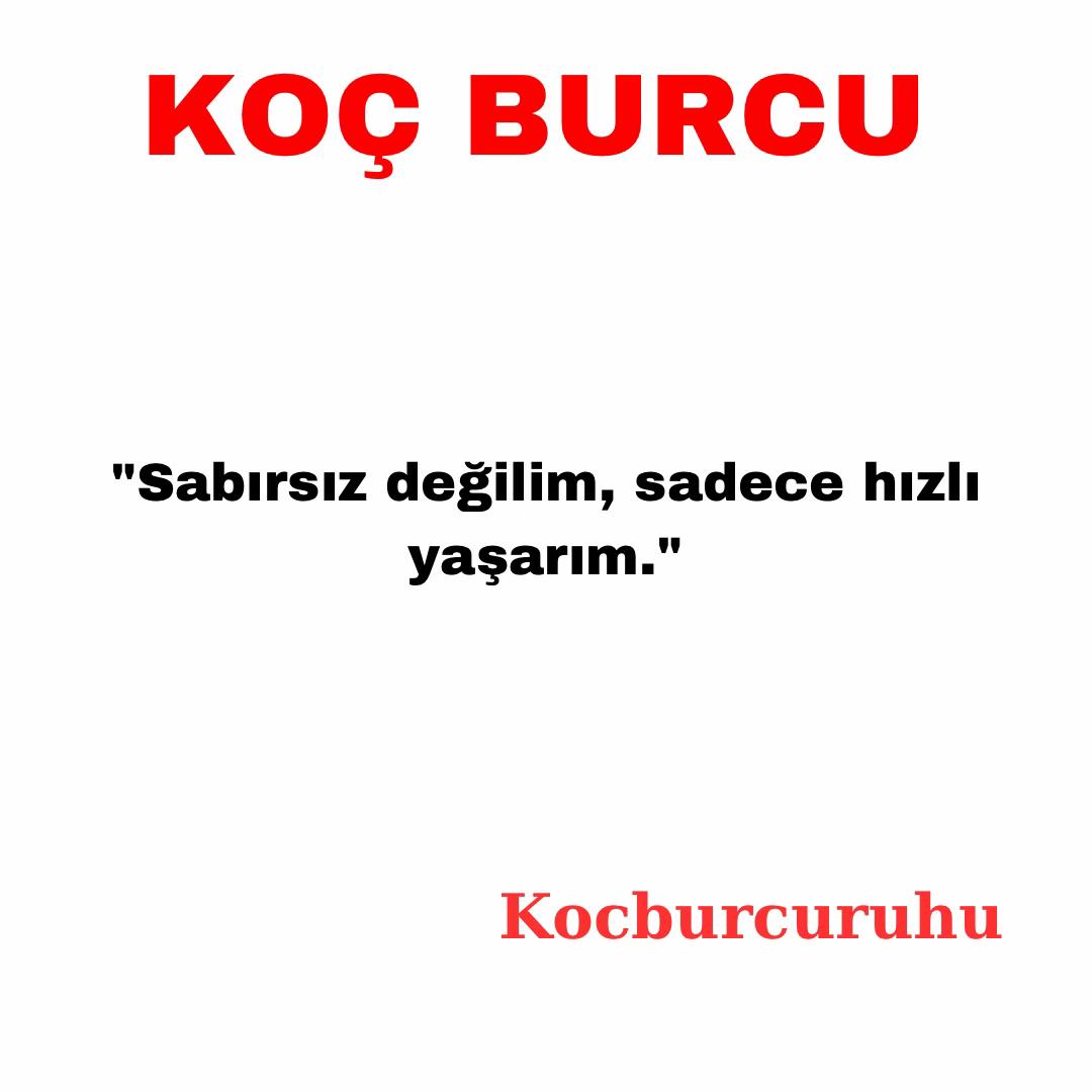 @kocburcu6