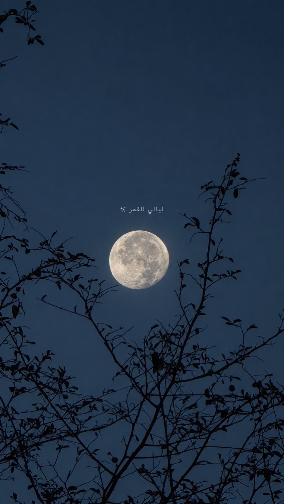 @سـامـي الجهني💙📸📲