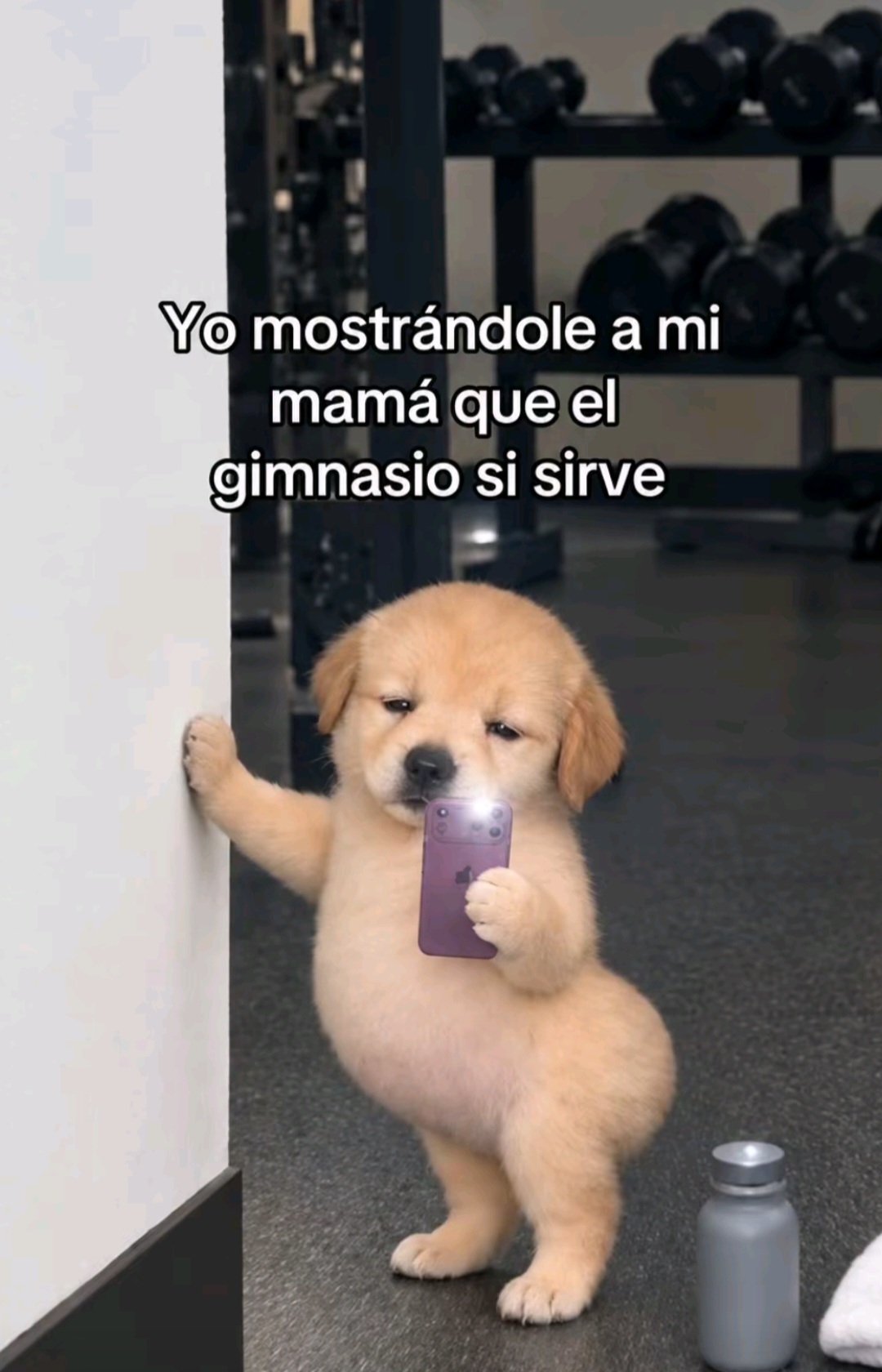 @Yessica Gill🇵🇾