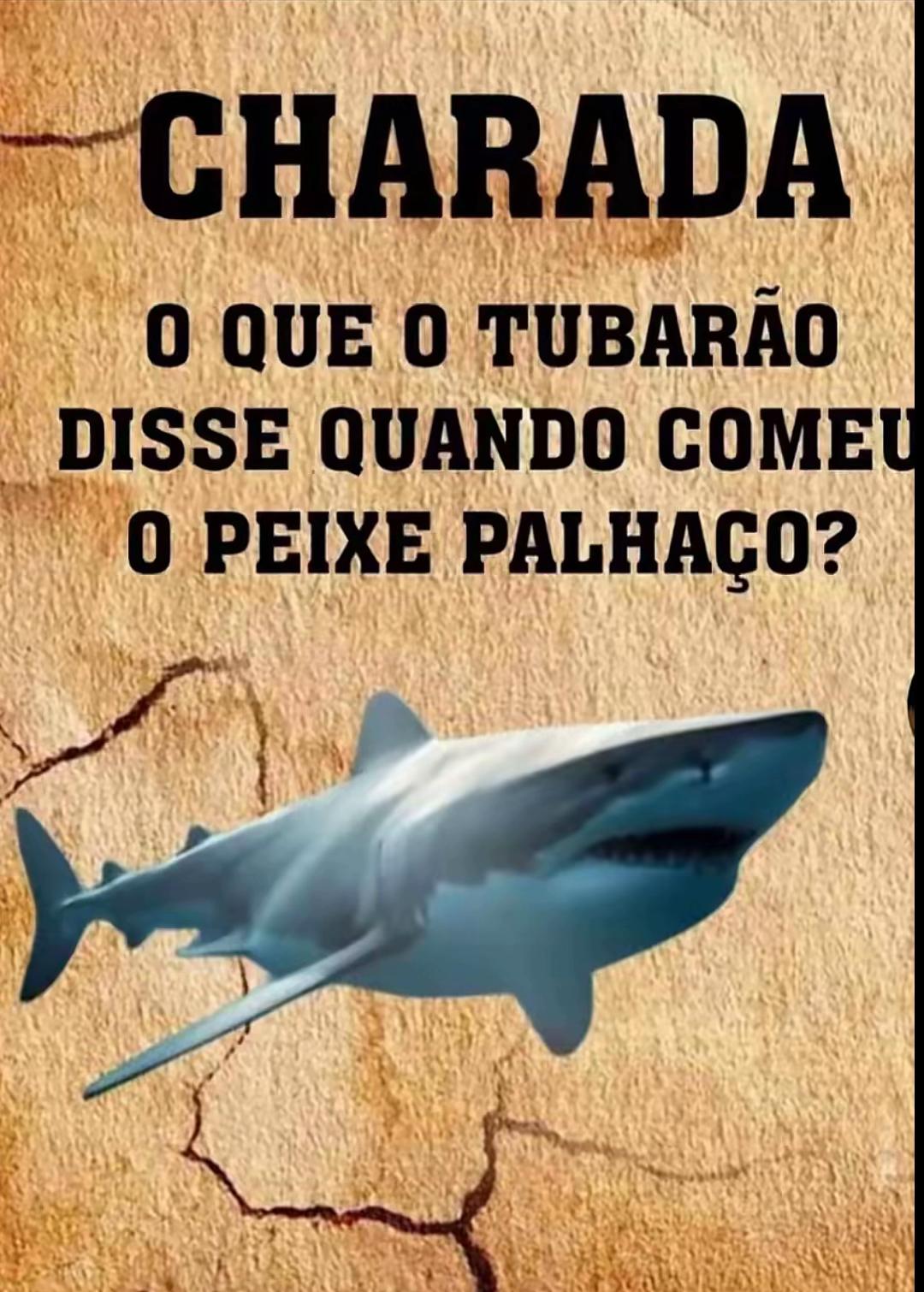 @marcelocamargos