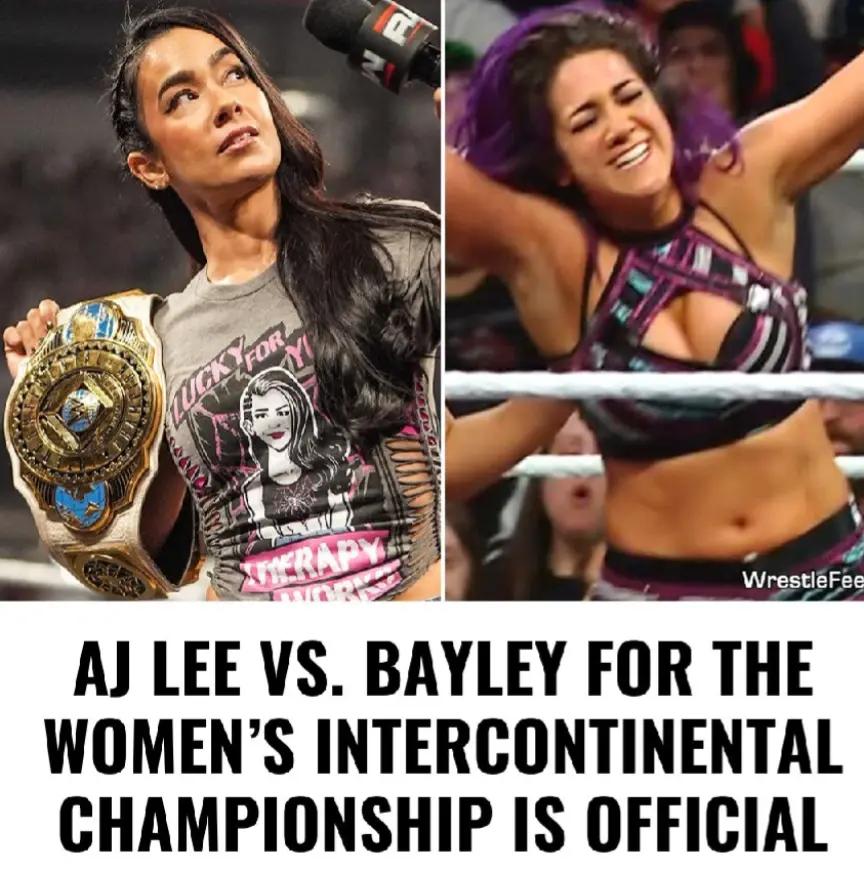 @wrestling fan