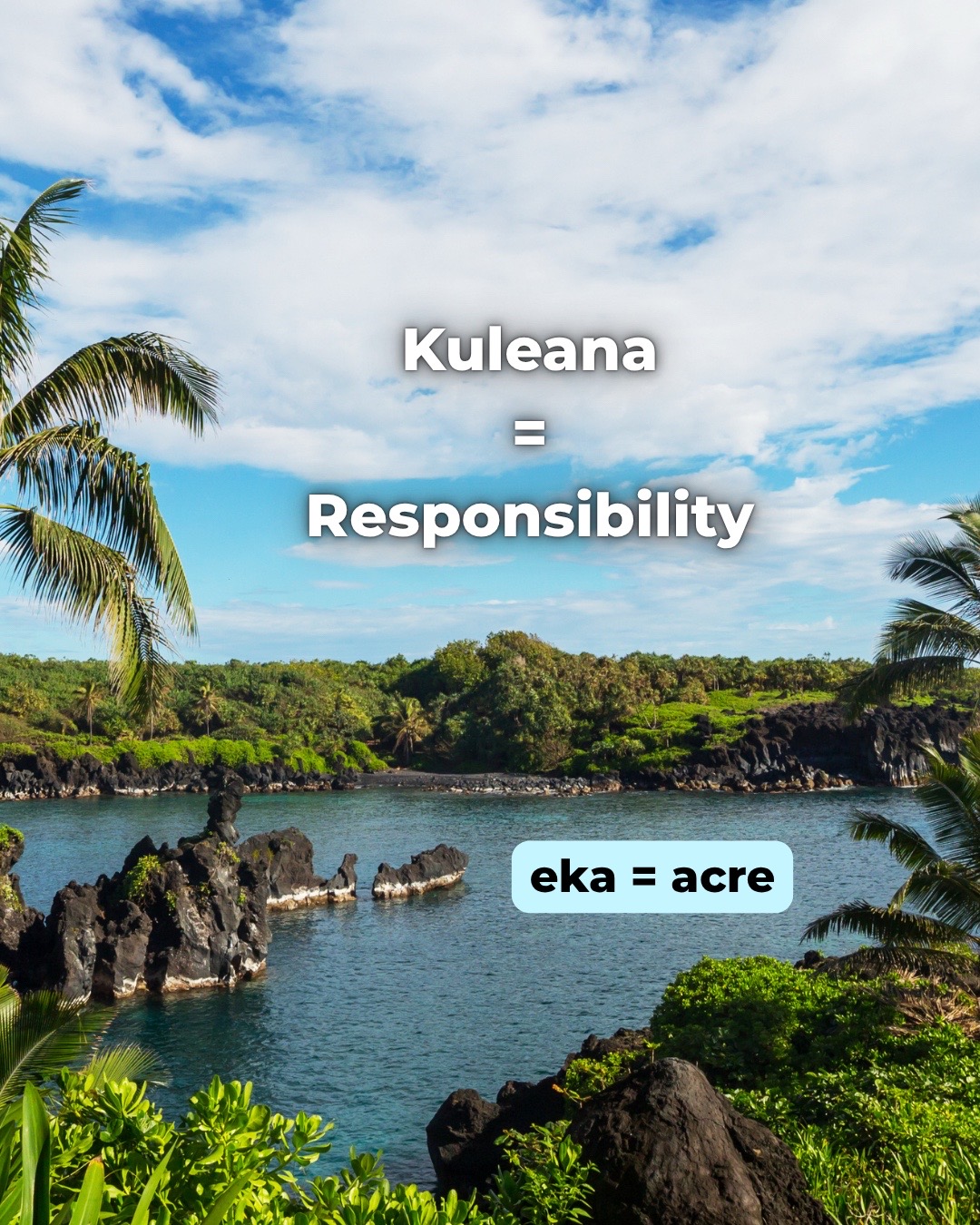 @Dark HerStorian of The Pacific