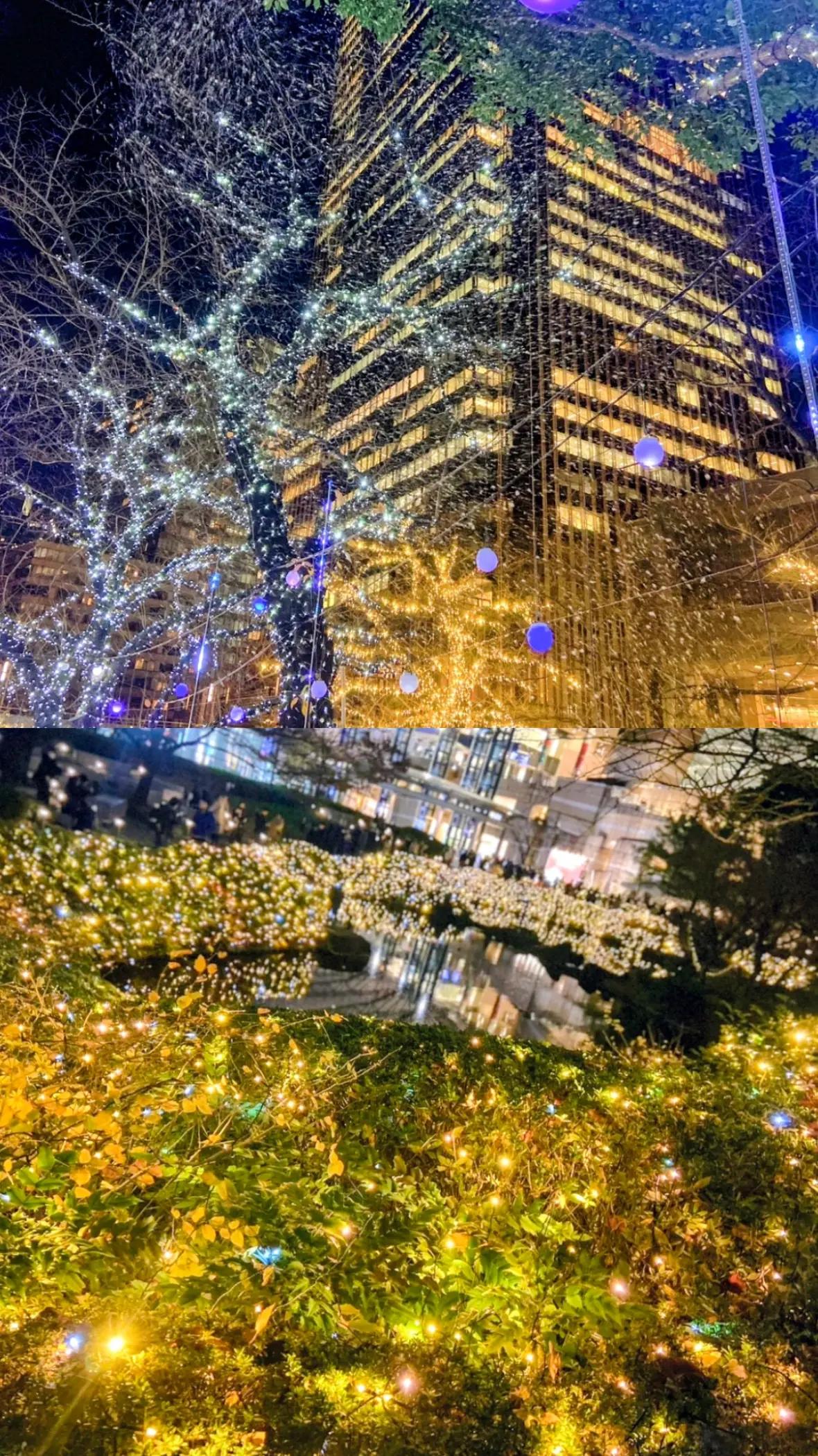 @ゆりちゃん🌠🌠