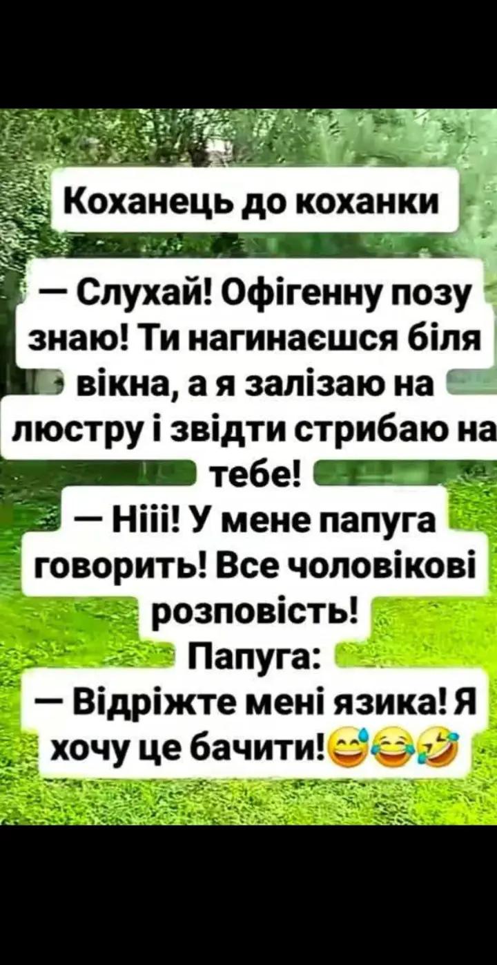 @Мария Ореховская