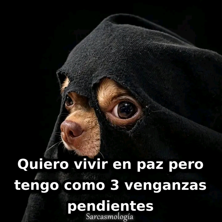 @Gaby Cordova