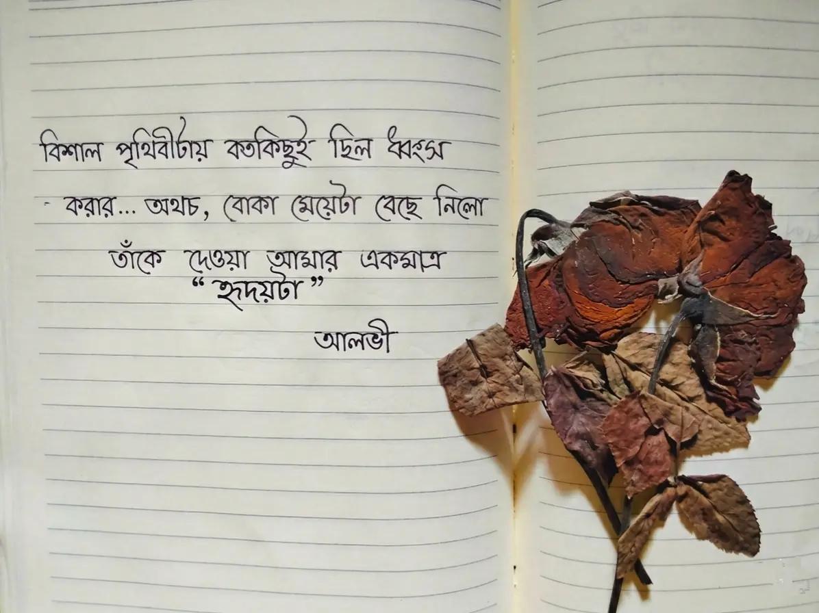 @ALvi Chowdhury đĢŗđģđ