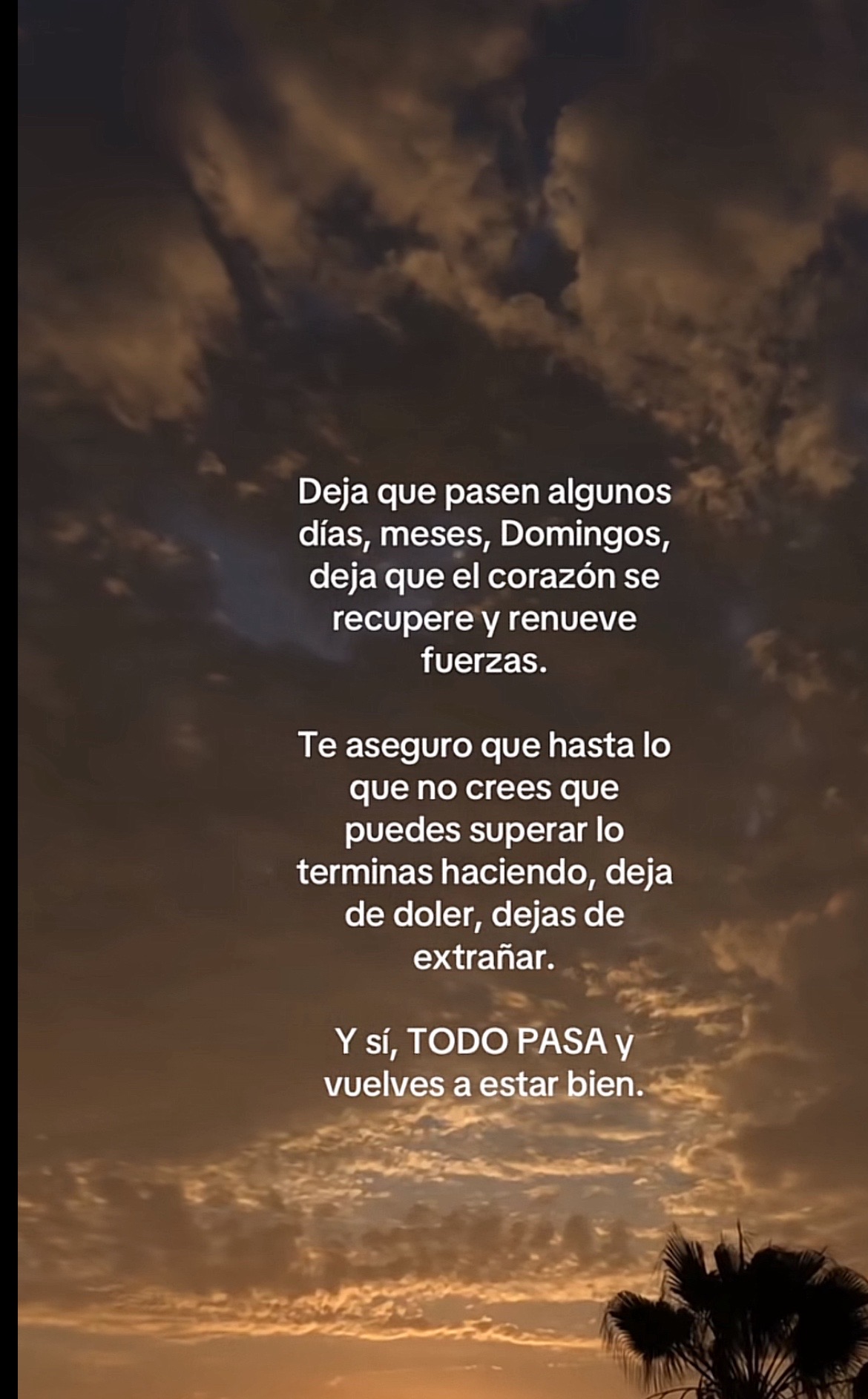@Carmen Diaz