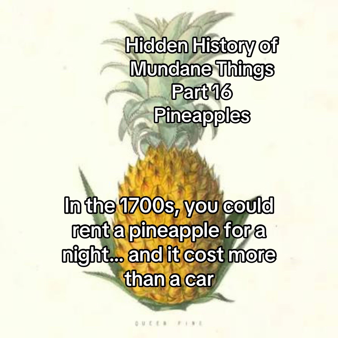 @mundanehistories