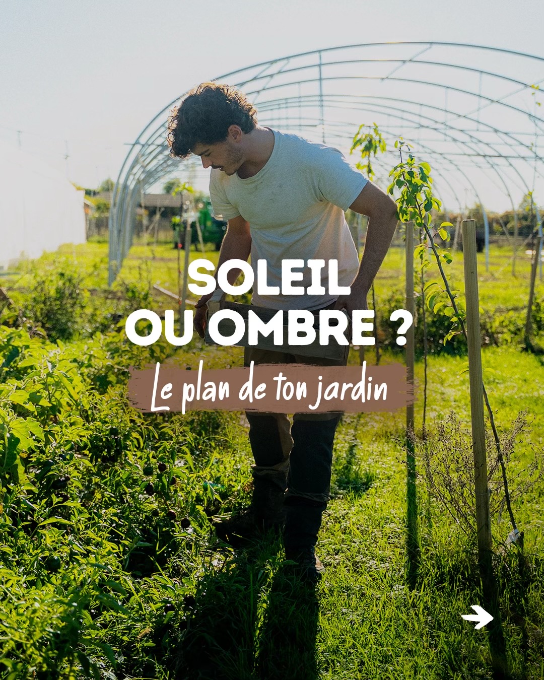 @Goran Le Permaculteur