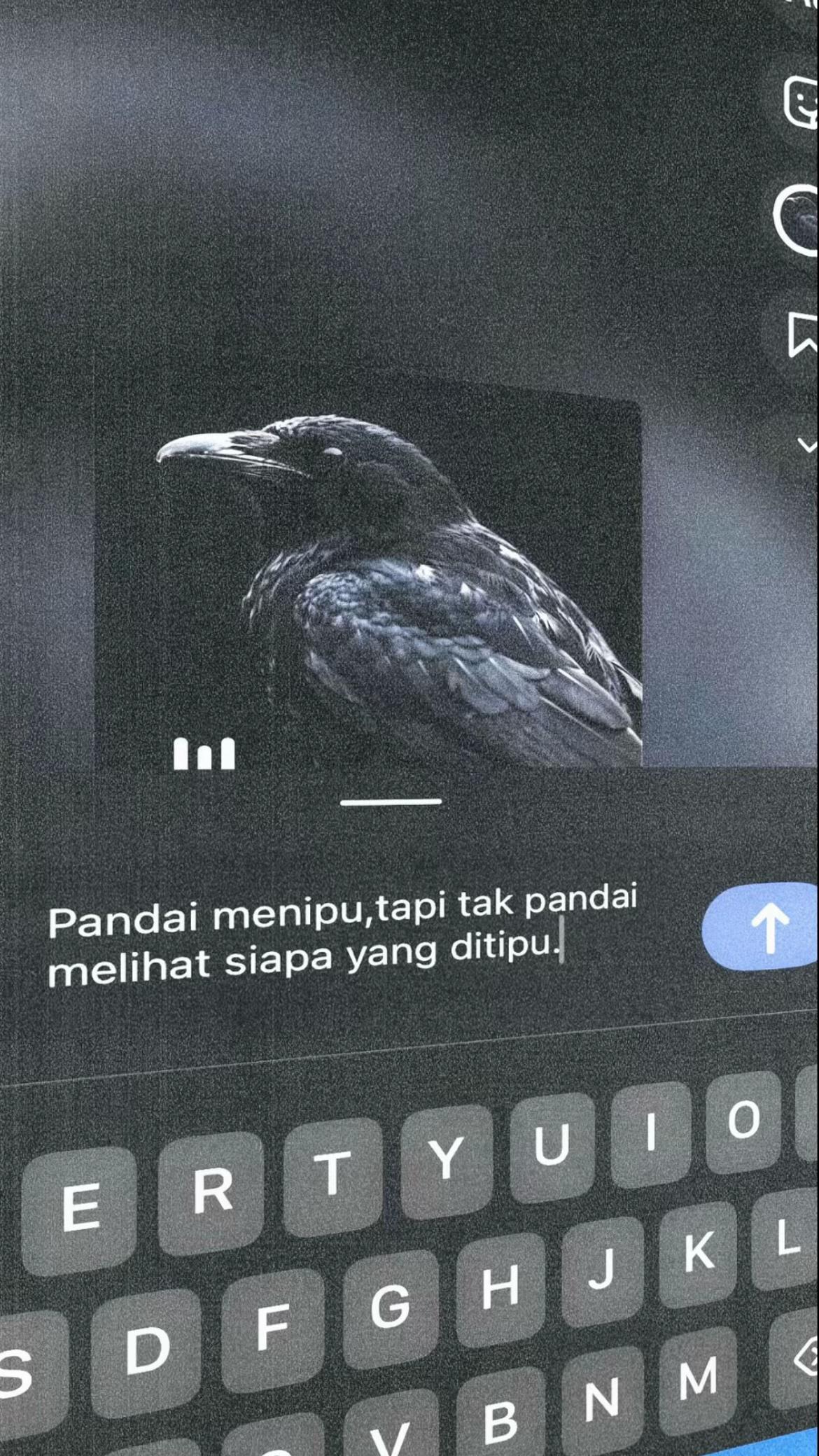 @iisAuniaaaaaa07