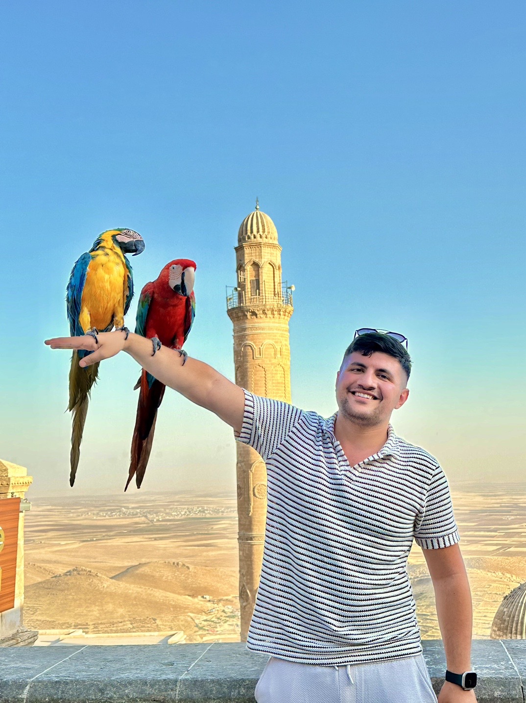 @Mehmet Emin Özgün