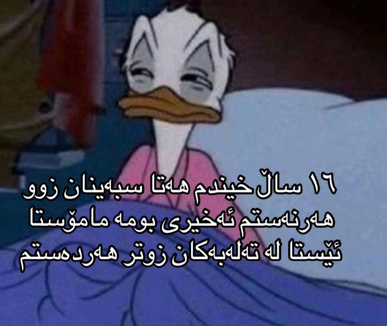 @miss.shahnaz