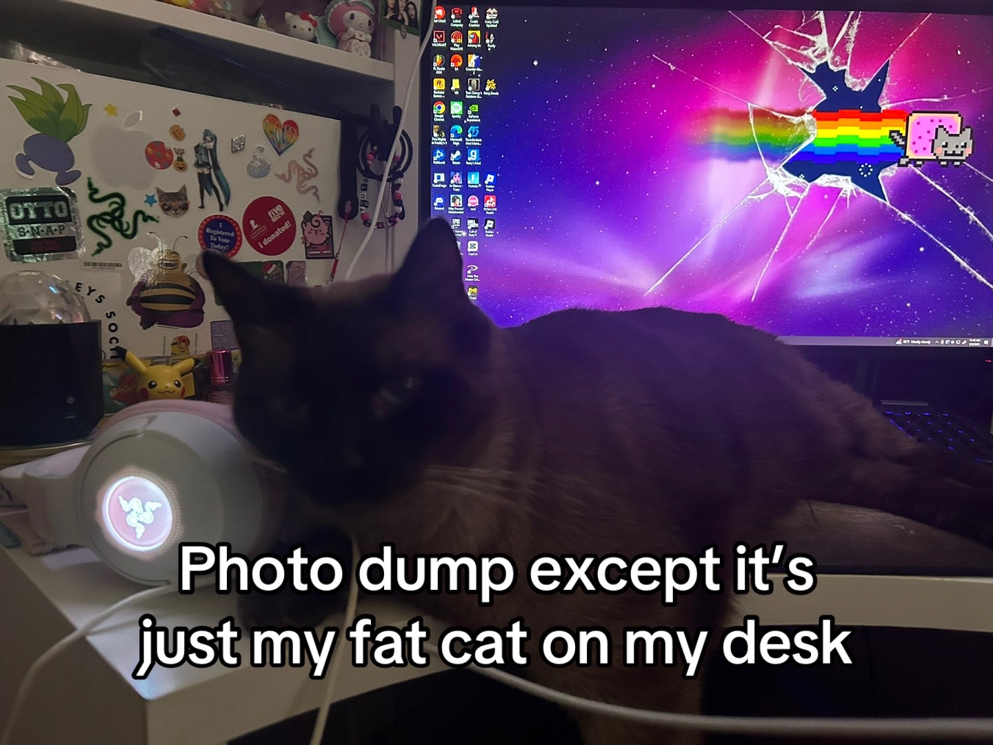 @derpqueen7