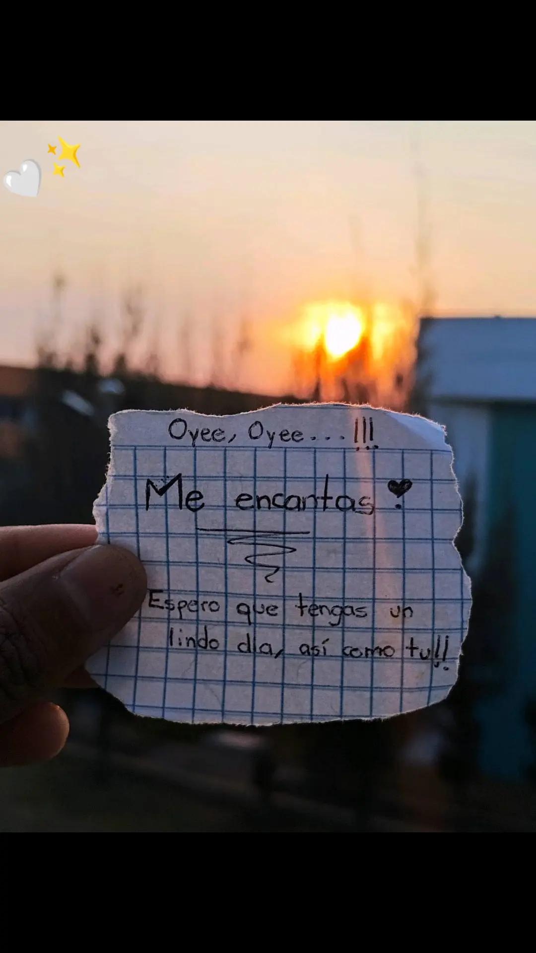 @𝑬𝒔𝒑𝒊𝒏𝒐𝒔𝒂 🕸️